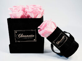 Chounette Preserved Roses Combo Set: 1 Rose in Mini Round Box + 4 Roses in Square Velvet Box