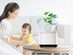 Micro-Ecological Desktop Air Purifier with Plant Pot