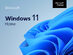 Microsoft Windows 11 Home