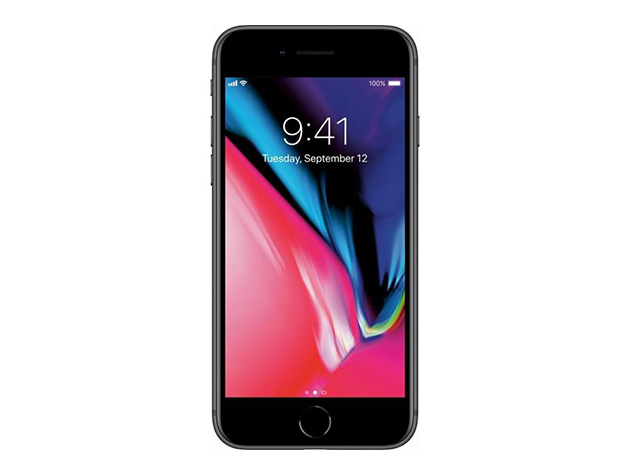 Apple iPhone 8 (A1863) 64GB - Space Gray (Grade A Refurbished: Wi-Fi + Unlocked)