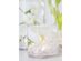 Afloral Clear Cylinder Glass Vase 5" x 5"