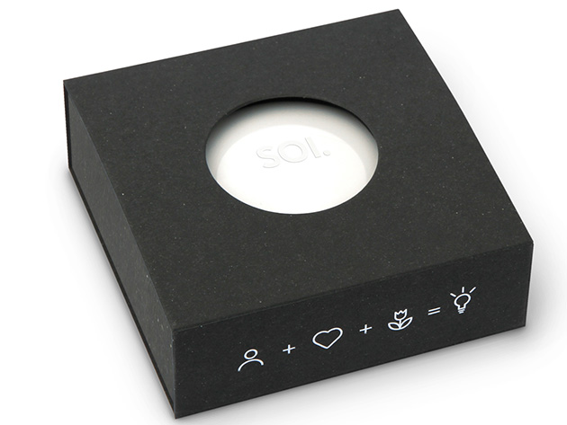 SOI Purse Light with Automatic Sensor (3-Pack)
