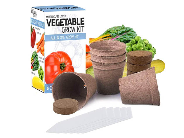 Masterclass 5-Vegetable Grow Kit 