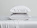 Kathy Ireland 300 Thread Count 100% Bamboo Rayon Sheet Set (Queen/White)