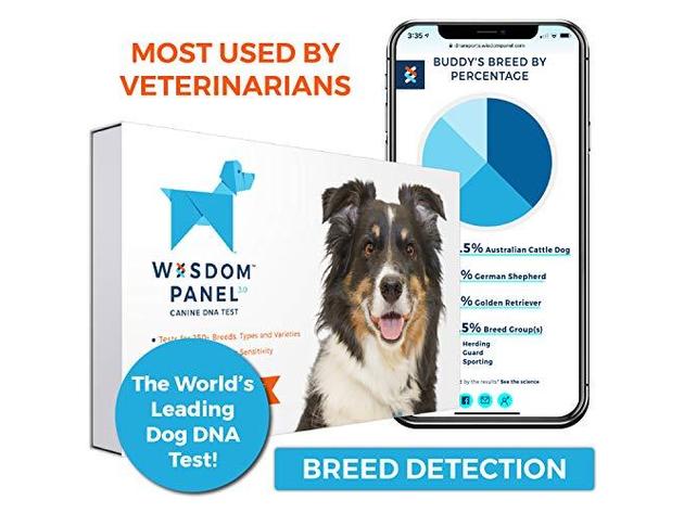 Wisdom panel outlet 3.0 login