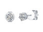 Essentials Lab Grown 0.50ct Diamond Solitaire Earrings in 10K White Gold
