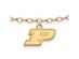 NCAA 14k Gold Plated Sterling Silver Purdue P Dangle Anklet, 9 Inch