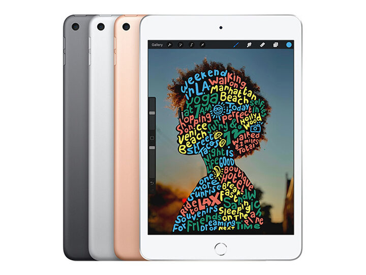 Apple iPad mini (2019) 5th Gen 256GB Wi-Fi Space Gray (Refurbished