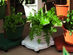 Sagano Garden Indoor and Outdoor Vertical Planters