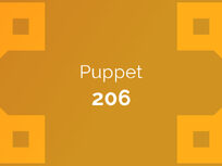 Puppet 206 Exam: System Administration Using Puppet - Product Image