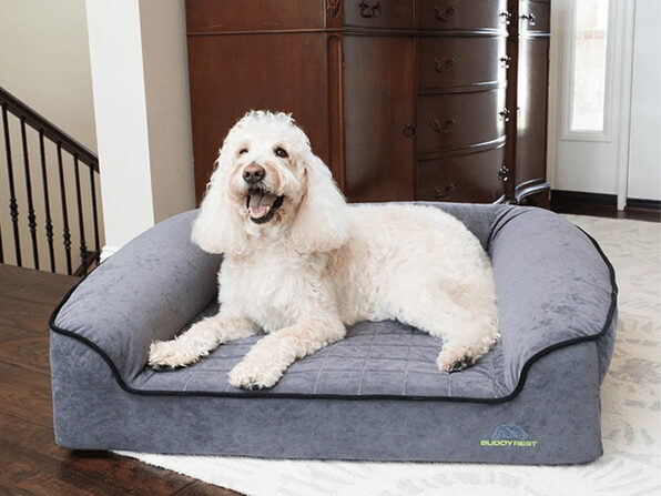 buddy rest bed