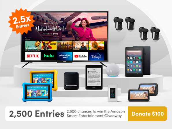 Donate $100 for 2500 Entries - Product Image