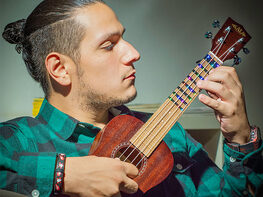 Fret Zealot Ukulele LED Learning System