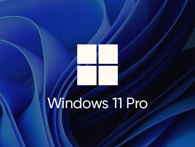 Microsoft Windows 11 Pro (Activation for Up to 3 PCs)