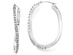 Accent Diamond Oval Hoop Twist Earrings in 14K White Gold