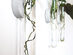 Iron & Spout Wall-Mounted Magnetic Propagation Set (Set of 9)