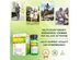 Avalife Energy Boost - Natural Energy Boosting Supplements for Men & Women - Gluten Free, Vegan & Non-GMO - 60 Capsules