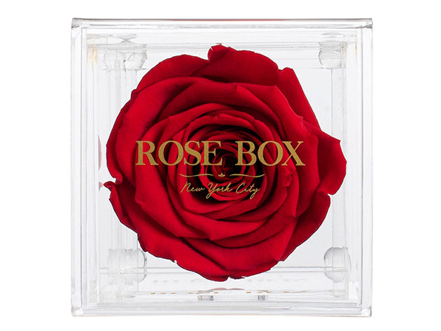 Rose Box™ Single Rose Jewelry Box