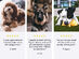 DNA My Dog Breed Identification Test (3-Pack)