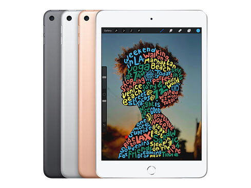 Apple iPad mini (2019) 5th Gen 256GB Wi-Fi Space Gray (Refurbished