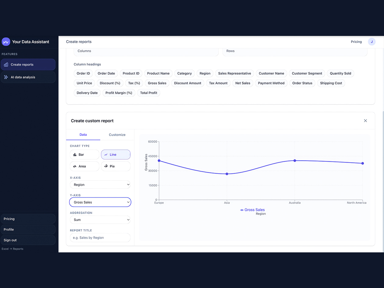 Your Data Assistant Lifetime Subscription (Pro Plan)