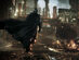 Batman: Arkham Knight - XBOX Live Key