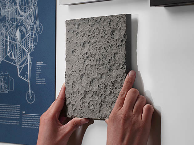 The Lunar Surface (Wall Version)