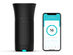 Wynd Plus: Smart Personal Air Purifier with Air Quality Sensor (Black)