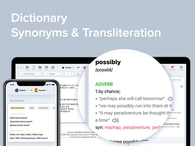 LingvaNex Translator: Lifetime Subscription (Desktop and Mobile Bundle)