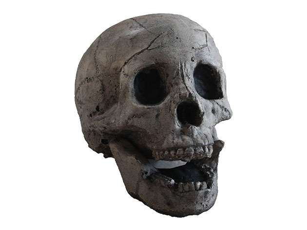 Ceramic Skulls For Fireplace