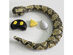Odyssey ODY599 RC Angry Anaconda and Meddling Mouse Combo Pack