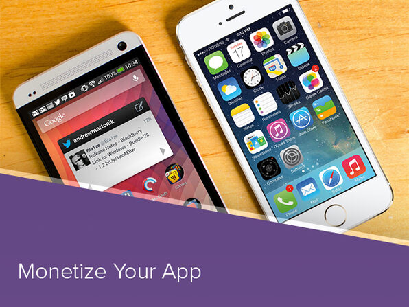 Monetize Your App: Major Advertising Networks - Product Image