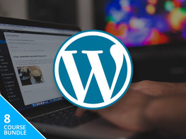 The All-In-One WordPress Business Bundle