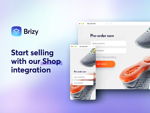 Brizy Next-Gen WordPress Website Builder: Lifetime Freelancer Plan