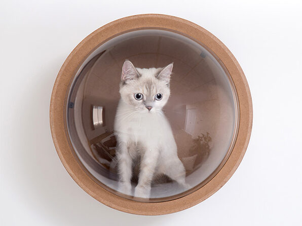 MyZoo Spaceship Gamma: Wall-Mounted Cat Bed (Walnut/Open Left