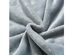 400 Series Solid Plush Blanket Silver Sage Full/Queen