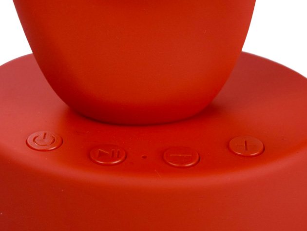 SpeakEar Portable Speaker