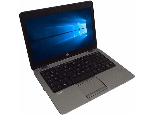 HP Elitebook 820G2 Laptop Computer, 2.90 GHz Intel i5 Dual Core Gen 5, 4GB DDR3 RAM, 500GB SATA Hard Drive, Windows 10 Home 64 Bit, 12.5" Widescreen Screen (Renewed)