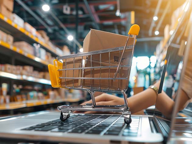 $19.99 The Ultimate 2025 Amazon FBA Bundle: How to Sell on Amazon