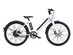 BirdBike eBike 
