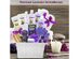 Luxurious Grapeseed & Lavender 20-Piece Spa Bath and Body Gift Basket