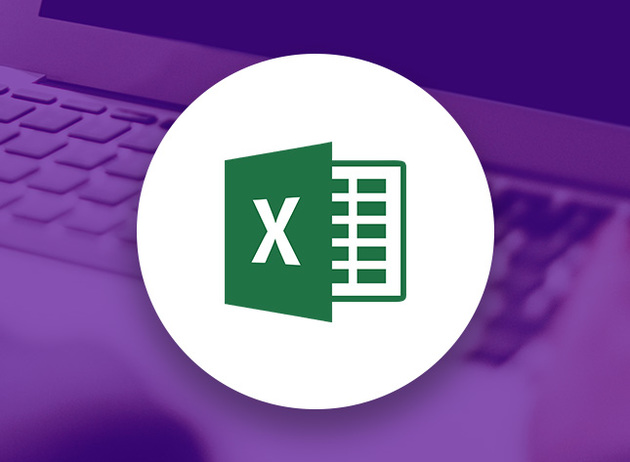 Microsoft Excel 2016 Basic Course