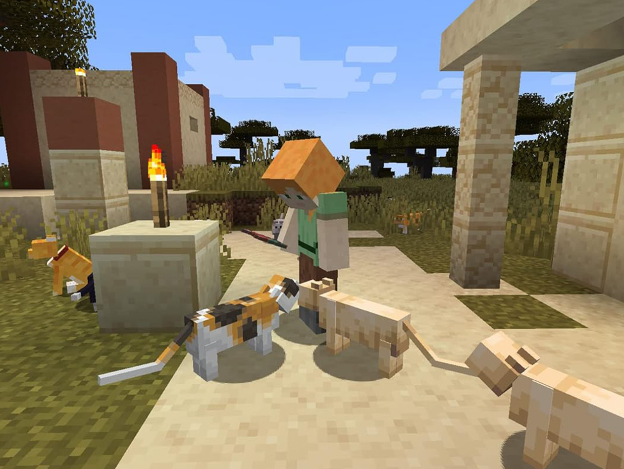 Minecraft: Java & Bedrock Edition (Digital Download)