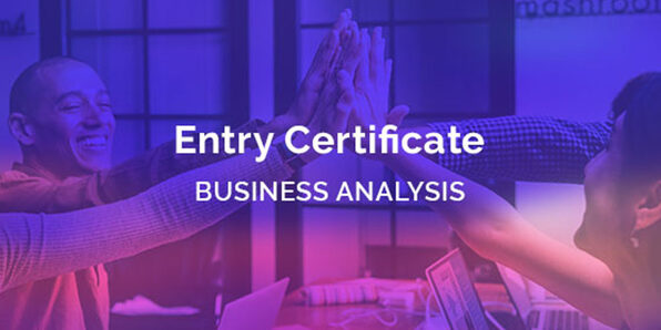 Entry Certificate in Business Analysis (ECBA) Certification - Product Image