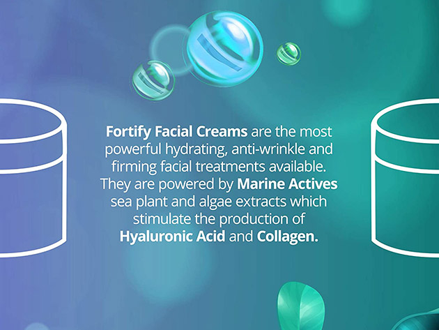 Sea Kind Fortify Cell Renewal Night Cream (2oz)