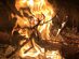 Realtree All-Purpose Waterproof Fire Starters (50-Piece)