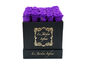Black Box/Purple Roses