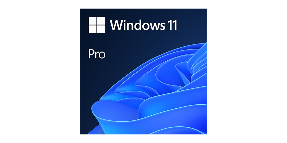 Microsoft Windows 11 Pro