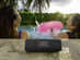 JBL Flip 6 Portable Bluetooth Speaker Black (Open Box)