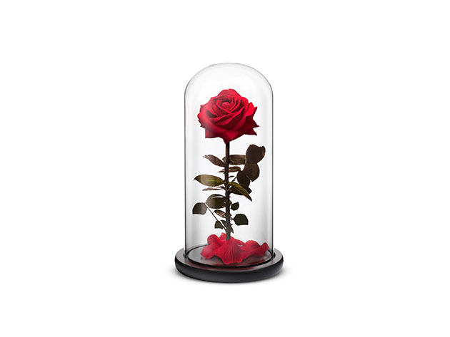 Red Everlasting Rose (Large)